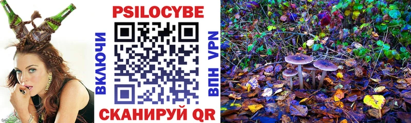 Псилоцибиновые грибы Psilocybine cubensis  Рославль 