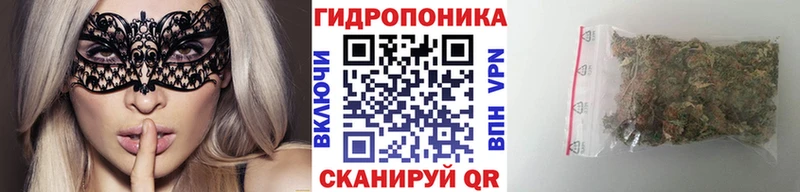 купить   Рославль  Конопля Bruce Banner 